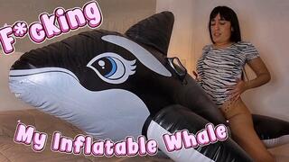 Fucking my big inflatable whale in multiple positions