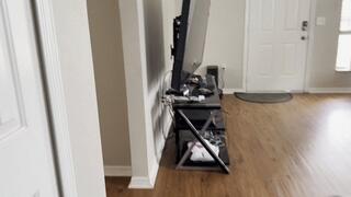 Blonde Babe Tyler Lynn Gets Feet Massaged by Male Roommate | Barefoot Stepping Massage | Soles | Table Footsies