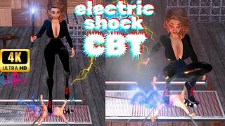 A Sensual Dominatrix uses an Electric Shock baton to lectrocute her slave's testicles and cock trampling on him - 4K