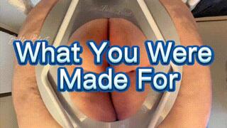 Toilet Slavery: This Is What You’re Made For by Bella Blast