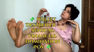 Wallet Destroyer – Sensual Financial Domination POV