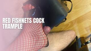 Red Fishnets Cock Trample