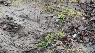 Muddy Sandal Disaster Bare Sole Sinking
