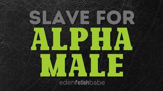 Slave for Alpha Male Audio-Visual