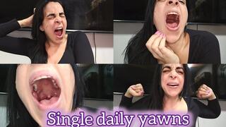 Single daily yawns