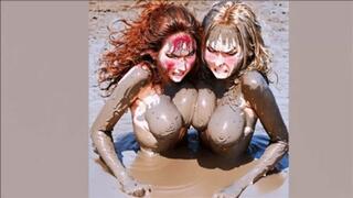 Tit Fight in mud wmv