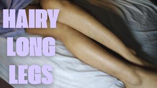 Hairy long legs appreciation