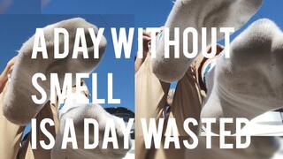 5 days of wearing white socks