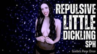 Repulsive Little Dickling SPH : 720p