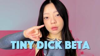 Tiny Dick Beta