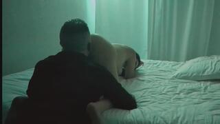 humiliation for cuckold