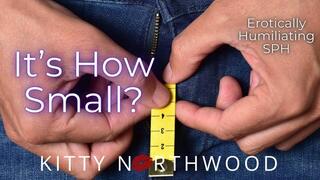 Kitty Finds out you have a Tiny Willy and wants to watch you rub it while she humiliates you