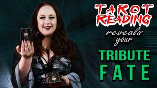 My Tarot Cards Reveal Your Tribute Fate featuring Serena Lust