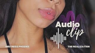 Wasted Potential: Your Realization *Audio Only*