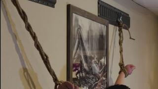 Puddlesdaunicorn (FL) - Wall Display