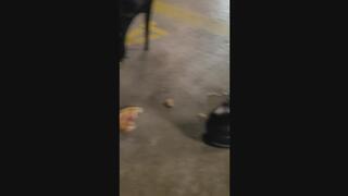 Having fun with her slave