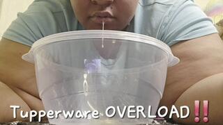 Tupperware OVERLOAD !!!