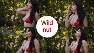Wild nut and swimsuit