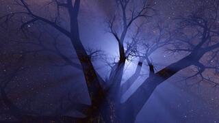 Bedtime Stories: Filthy Panty Slut (Femdom ASMR) Vid