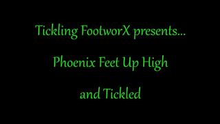 Phoenix Feet Up High and Tickled