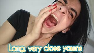 Long, very close yawns !