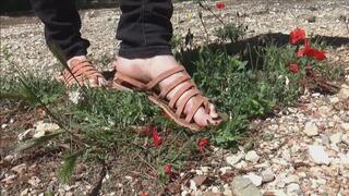 Grass and flowers trampling, rubbing with sandals compilation