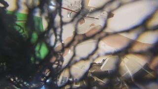 VR360 MOMO wraps up the dwarfs