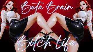 Your Wife Married a Bitch