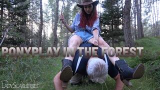 LADY SCARLET - PONYPLAY IN THE FOREST hd