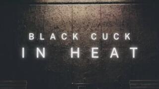 Black Cuck in Heat