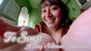 To Serve: A Tiny’s Ultimate Submission