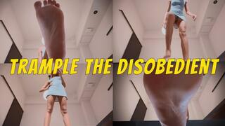 Trample The Disobedient- Ebony Goddess Rosie Reed Foot Fetish Giantess POV Domination- standard definition