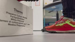 Nike Pegasus Trail Shoe Play Box Crush and Dino sock play