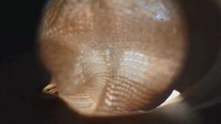 VR360 XINXIN stockings wrap losers humiliate POV trampling