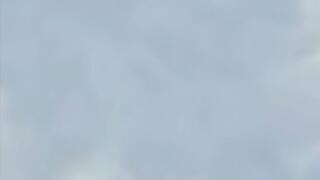 POV Clip for Gigantic Jay 2