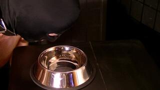 Cum Shot in Bowl (mp4)