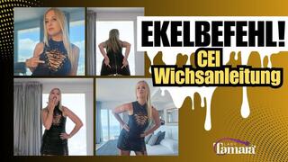 Ekelbefehl! CEI Wichsanleitung