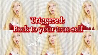 Triggered: Your daily dose of danger