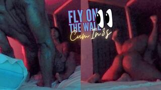 FLY ON THE WALL - CUM IN 3S feat AstroDomina & Creamsixxl (HD MP4)