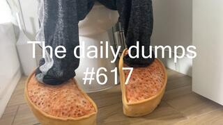 The daily dumps #617