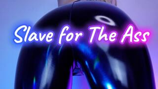 Slave for the Ass