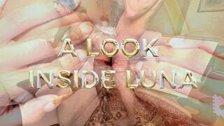 A LOOK INSIDE LUNA FINAL