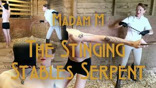 The Stinging Stables Serpent, brutal snake whip single-tail whipping extreme punishment