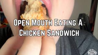 Phoenix Bates Eating A Chicken Sandwich Open Mouth Chewing 4k HD - Mukbang - Messy Eating - Mouth Sounds
