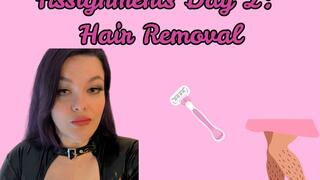 Feminization Guide Assignment 2