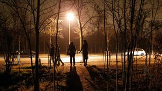 Fluides avec mon soumis au Bois de Boulogne