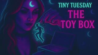 Tiny Tuesday – The Toy Box