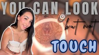 YOU CAN LOOK BUT NOT TOUCH