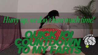 Quick JOI And Countdown To My Farts wmv