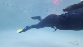 Never Use A Net Unless You Mean It!